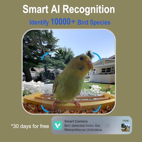 Smart Wooden Bird Feeder with Camera-Solar Power,Bird AI Identifier,1080p HD,5200mAh Battery,3.5L Extra Large,Twin Seed Bins