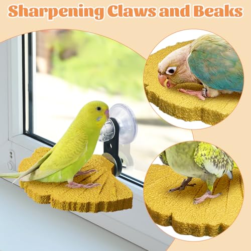 3PCS Bird Beak Grinding Stone with Suction Cups for Small Birds Foot Claws Trimmer Bird Stand Platform Parakeet Cage Perch Parrot Cage Accessories for Indoor Window Viewing (Yellow) - color: Yellow, size: Suction cup style