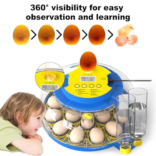 Cieex 18 Egg Incubator for Hatching Chicken, Quails, Ducks, Parrots, Geese with Automatic Egg Turning and Humidity Control, Blue & White ABS Terrarium Incubator