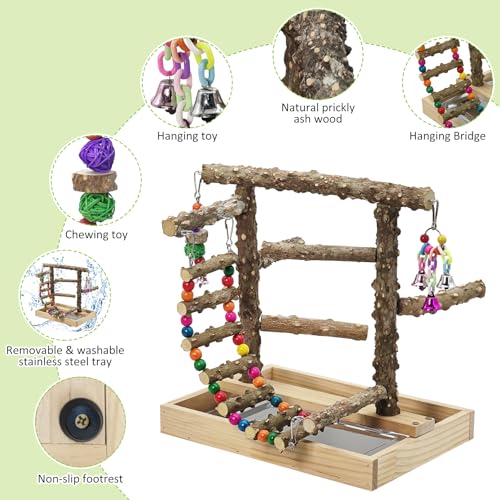 BNOSDM Natural Wood Bird Playground for Training & Playing, Parrot Perch Stand Jungle Gym with Hanging Bridge & Detachable Tray Parakeet Cage Playstand for Budgie, Cockatiel, African Grey - color: Bird Stand with Bridge