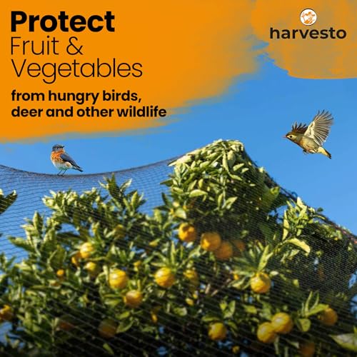 Heavy Duty Bird Netting for Chicken Coops & Runs | Tree & Garden Netting Mesh 1-1/2" | Keep Hawks, Birds & Predators Away | Bird Netting for Blueberry Bushes, Vegetables & Fruit (50' x 50’) - size: 50' x 50' - 1.5"