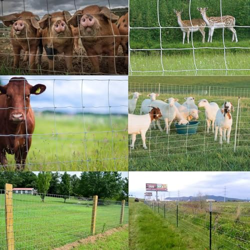 Farm Fence 6ft x 100ft Heavy Zinc Coating Field Wire Fencing, Galvanized Livestock Deer,Goat Fence,Hog Wire Fencing Used to Yard and Garden - size: 72inX100ft