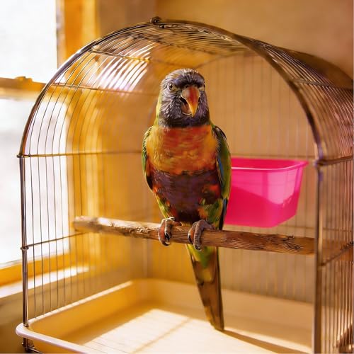 Cage Cups for Chickens 5 Pcs Hanging 25oz Feeder Waterer,Pink Food Bowl Coop Dish Water Dispenser Drinker Grit Container for Rabbits Birds Pigeon Duck and Small Animals - color: PINK