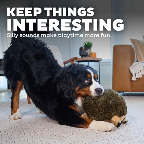 Outward Hound Hedgehogz Stuffed Dog Toy – Soft Plush Hedgehog, Grunts & Squeaks, 12" x 8.5" x 9", X Large (Pack of 12) - size: X Large (Pack of 12)