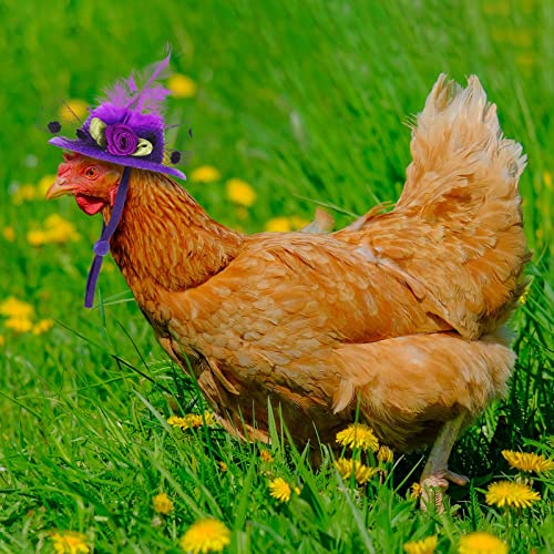 Weewooday 6 Pieces Chicken Hats for Hen Mini Chicken Helmet Accessories Feather Top Funny Small Hat Funny with Adjustable Elastic Chin Strap for Animal Costume (Fresh Color, Classic Style)