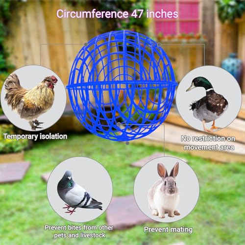 15.7" Ball-Shaped Movable Chicken Coop,Pigeon Rabbit Duck Safe Walking Net,Preventing Trampled by Horse,Predation by Eagles,Dog Bites.Pet Removable Prevent Harassment Safety Hutch(2 Pack) - color: Blue(2 Pack)