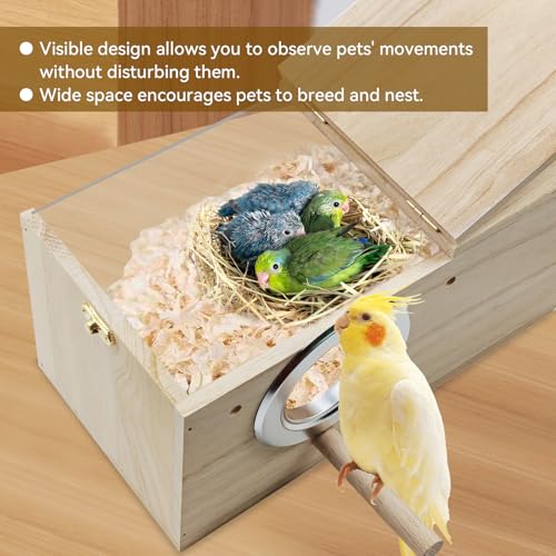 Large Parakeet Nesting Box,Transparent Parrot Breeding Box with Detachable Wooden Board Acrylic Visible Bird Cage House with Perch for Cockatiel Conure Budgie Lovebird Finch - size: [L]