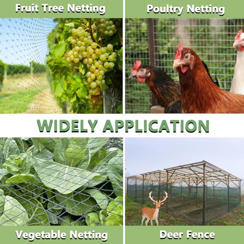 Bird Netting 25x100 FT,1" Mesh Heavy Duty Garden Netting | Black Net Pest Barrier for Fruit Trees,Chicken Coop,Pond,Poultry & Deer Netting,Plant Protection,50PCS Zip Ties - size: 25' x 100'