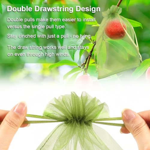 Shintop 100Pcs Fruit Protection Bags, 6x9inch Green Fruit Tree Net Cover | Drawstring Mesh Tomato Bags, Fine Mesh Blocks Bugs, Breathable Sheer Organza, Gentle on Delicate Stems, Fits Apples, Mango - size: 6x9 inch