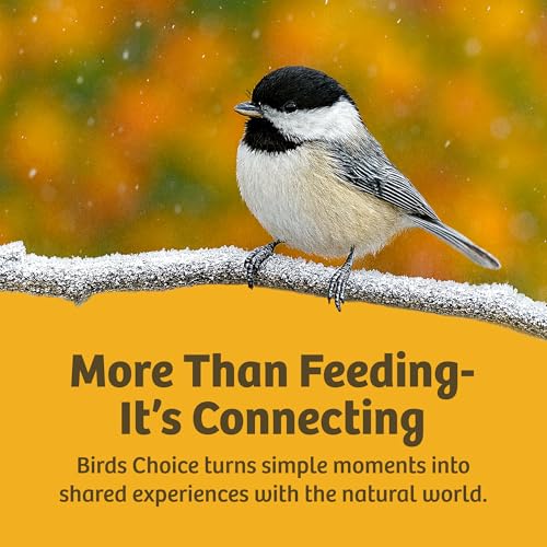 Birds Choice Bird Feeder Dome with Hanger | 10.5in Rain Guard Cover, Clear | Domed Acrylic Outdoor Weather Guard for Hanging Feeders to Keep Seed Dry, Heavy-Duty Chrome-Plated Hanger and Hook - color: Clear