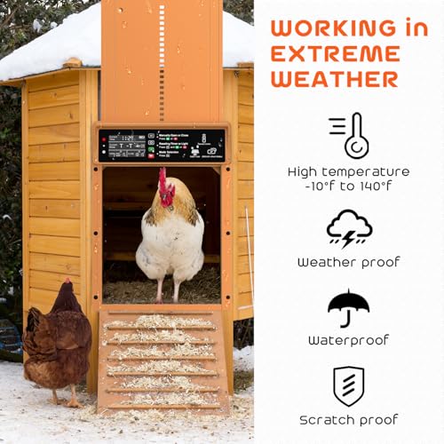 Asfrost Automatic Chicken Coop Door Solar Powered Automatic Chicken Door with Timer & Light Sensor, Anti-Pinch, Durable Aluminum Auto Chicken Door, Charge with 7W Solar Panel & USB - Orange | Timer & Light Sensor Auto Chicken Door for Small Poultry,Solar