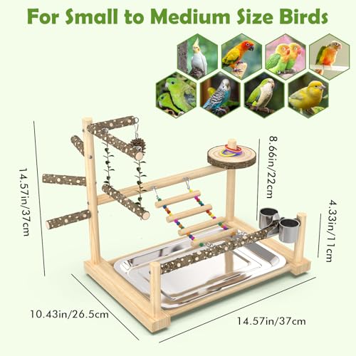Bird Playground, Parrot Playstand Cockatiel Playground, Bird Play Stand with Feeder Cups, Swings, Ladder and Removable Tray, Parrot Perch Stand for Parakeet Conure Lovebird Budgie - size: 2 layer T2