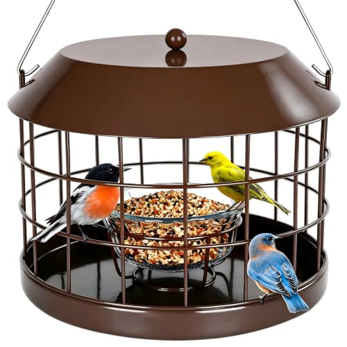 Gbekery Caged Bluebird Feeder for Mealworms with Glass Bowl, Squirrel Proof Bird Feeder for Small Birds Only, Detachable Hook, Large Space, Outdoors Weatherproof, Metal, Brown - style: Brown Glass Bowl