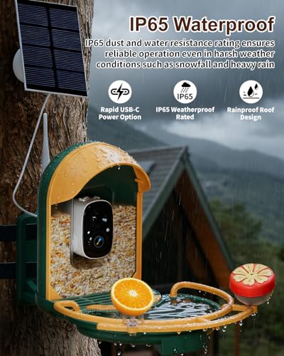 Bird Feeder with Camera, AI Recognition, Bird Bath, Solar Powered | Identify birds with AI, capture sharp 2K video, enjoy solar charging, bird bath design and instant smart app alerts. - color: Green, size: With BirdBath