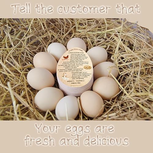 255PCS Fresh Farm Egg Handling Instruction Cards - Premium 2.7 X 3.5 Inches - Eggs Shape Style - Egg Stamps for Eggs Care Egg Cartons Cheap Bulk - Egg Stamps for Fresh Eggs for Egg Cartons Reusable