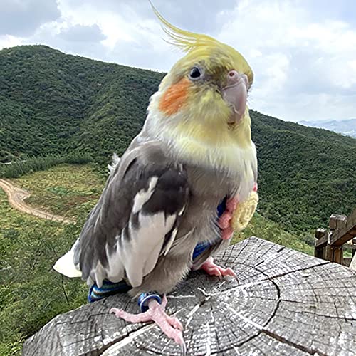WAYUTO Pet Bird Diapers Cute Sun Flower Parrot Flight Suit with Elastic Strap Harness Equippable Washable Liners Cockatiel Clothes Nappy Light Weight Warm for Small Birds Cosplay Photo Prop - color: Waves