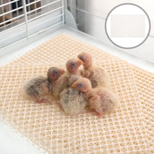 20pcs Nesting Pads for Chicks - Non-SlipIncubator Liner Parrot Brooder Pads - Silicone Mat for Bird Breeding .8x7.8 Inch