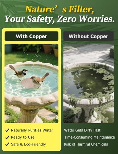 Mellbree 2-Pack Bird Bath Copper Disc, 0.6mm Reinforced 99.99% Pure Copper Cleaning Disk with Triple-Point Support for Physical Safe Clean Water All-Season, Universal Fit for Outdoor Birdbaths, Bowl - color: Copper Bird
