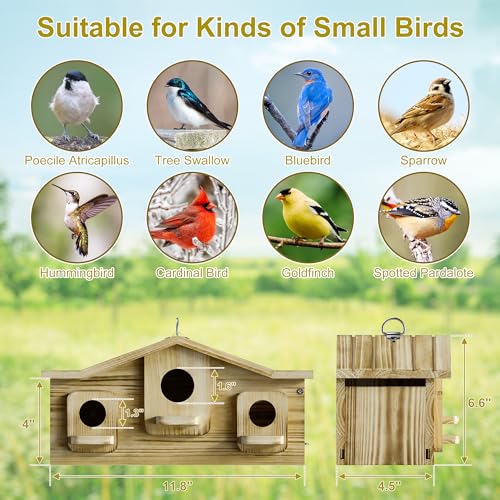 Auslar Bird House for Outside, 3 Hole Wooden Birdhouse for Outdoors Hanging | Bird Nesting Box for Bluebirds Cardinals Finches Wrens Swallows, Predator Guard, Perch & Hook, Garden Backyard Decor - style: Rectangular