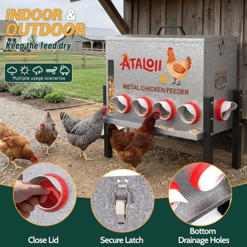 16gal 82LB Large Automatic Chicken Feeder with Window, Food Tray - No Waste | No Spill, Rust-proof Alloy Steel Poultry Feeder, Waterproof Metal Chicken Feeder for Indoor & Outdoor Chicken Coops (10 Ports - size: 16gal