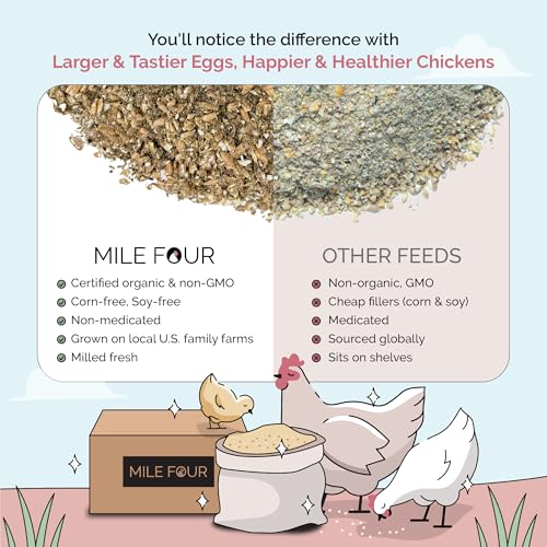 Mile Four Organic Chicken Feed, Layer Mash, Non-GMO, USA Grown 2 lbs | 16% Protein; Corn & Soy-Free; USA Grown; Non-Medicated; No Fillers or Additives; Supports Egg Production; Family Farm Sourced - size: 2 Pound (Pack of 1), style: Mash