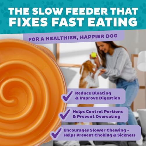 Outward Hound Fun Feeder Slo Bowl – Large 4‑Cup Capacity,Slow Feeding,Medium to Large Dogs,Non‑Slip,Orange,Swirl Pattern,(Pack of 6) - color: Orange, size: Large (Pack of 6)