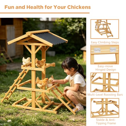 Wood Parrot Perch Multi-Tier Bird Play Stand with 2 Ladders and Canopy | Stable Wooden Bird Activity Playground, Suitable for Small Medium Parrots, Backyard Cage Accessory
