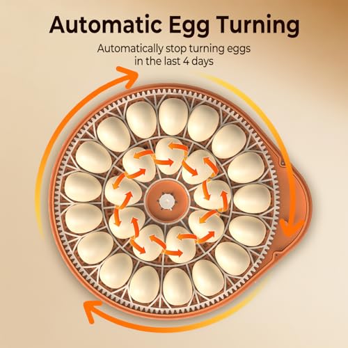 Incubators for Hatching Eggs with Smart Voice Assistant, 26 Eggs Incubator with Automatic Egg Turner and Humidity Control, LED Egg Candler, Incubation Days Display, for Chicken, Duck, Goose, Bird Eggs - size: 26 Chicken Eggs with Voice Assistant