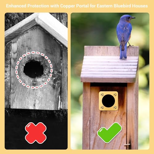 Birdhouse Predator Guard, Helping Reduce Nest Destruction and Enhance Safety for Bird Chicks, 4 Pack, 11/8" (1.375in) - size: 1.375 inches