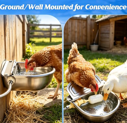 Automatic Chicken Waterer Stainless Steel with Drainage Hole | with Float Valve, Extended Pipe, Replacement Valve, Outdoor Auto Self Filling Water Bowl for Chicken,Duck,Poultry