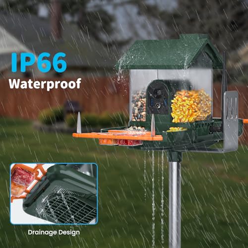 Bird Feeder with Camera and Bath, Dual-Lens 2K HD Video, AI Bird Identification, Solar Powered, Instant Alerts, IP66 Weatherproof - color: Deep green