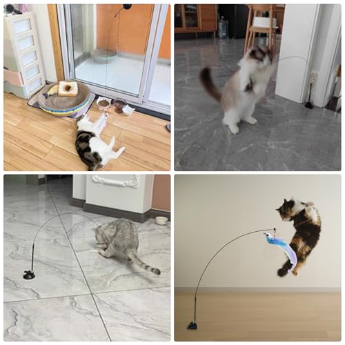 Cat Toys Interactive Hands-Free 6 Pack Cat Toys for Indoor | Cats Toy Wand Natural Bird Feather, Suction Cup Pet Indoor Dancing Playing Toys, Suction Cup Pet Dancing Playing - color: GREY