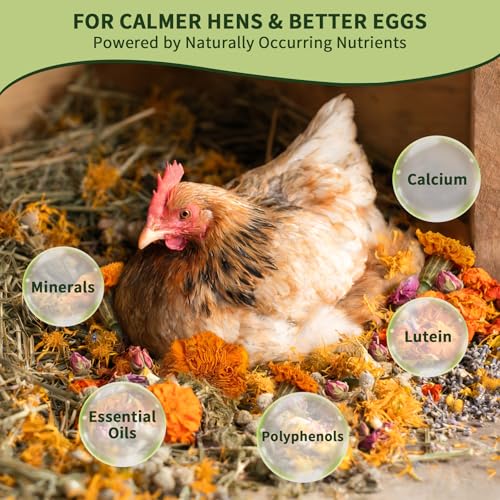 BGraceyy Chicken Nesting Herbs 16 oz – 11 Natural Dried Herb Blend with Marigold for Chicken Coop & Roost Refresh, Nesting Box & Dust Bath, Supports Natural Nesting Behavior - size: 16 ounce