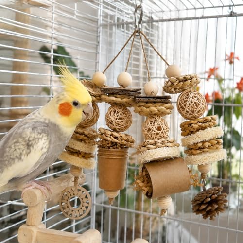 Parakeet Foraging Toy with Loofah & Pine Cone, Bird Chew Toy | For Budgies, Cockatiels, Conures and Quaker Parrots | Multiple Textures for Pecking, Shredding and Active Cage Play