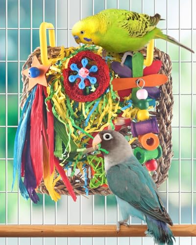 ERKOON Cockatiel Toys, Budgie Toys Foraging Toy Hanging Bird Toy for Lovebrid Parakeets Conures Parrot Foraging Wall with Colorful for Birds Shredding Seagrass, Birds Cage Accessories-2 Pack - size: Large grass mat-2 Pack