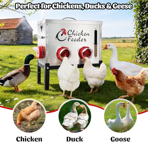 40LB Metal Chicken Feeder, Rat Proof Automatic Chicken Feeder with Visible Window & 6 Ports, Galvanized No Waste Poultry Feeder for Chickens, Ducks, Geese - size: 40 LBS