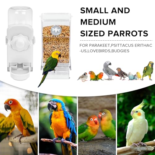 Lemtrflo No Mess Bird Feeder Water Dispenser Set, Automatic Bird Feeder | Parrot, Parakeet Cage Accessories - color: White