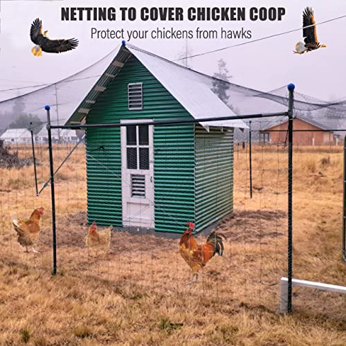 Bird Netting for Chicken Coop,50x50ft Poultry Netting with 2.4" Square Mesh | Heavy Duty Garden Net for Blueberry, Fruit Trees & Vegetable, Protects from Birds, Deer & Squirrels, for Chicken Run & Pen - size: 50'×50'-2.4''