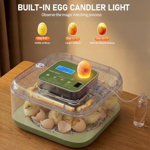 Winado 12 Egg Incubator with Temperature & Humidity Control | Automatic Egg Turning, Egg Candler, Automatic Water Filling, Day Counter