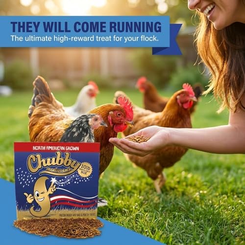 Chubby North American Grown Dried Mealworms | 10 lbs | Non-GMO High-Protein Treats for Chickens, Ducks & Wild Birds – Sustainable Chicken Feed - size: 10Lbs