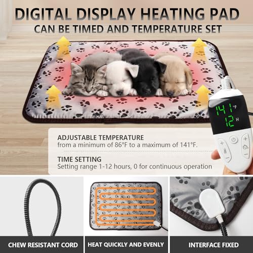 Puppy Incubator with Heating and Fan, Ideal Incubator for Puppies and Kittens, Ensures Good Ventilation and Temperature Control for Newborn Pets (85L)