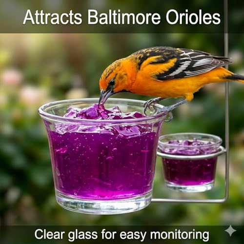 6Pcs Glass Bird Feeder Replacement Cups, Oriole Jelly Feeder Bowls, Outdoor Hanging Hummingbird and Goldfinch Feeders, Weather Resistant for Garden, Balcony, Patio