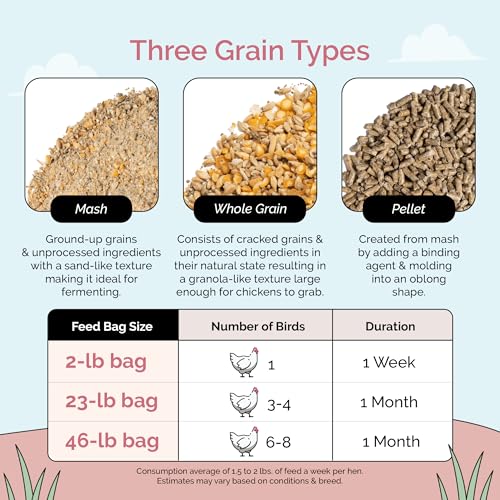 Mile Four Organic Chicken Feed, Layer Whole Grain, Non-GMO, US Grown 23 lbs | 16% Protein; Corn & Soy-Free; USA Grown; Non-Medicated; No Fillers or Additives; Supports Egg Production; Family Farm Sourced - size: 23 Pound (Pack of 1), style: Whole Grain