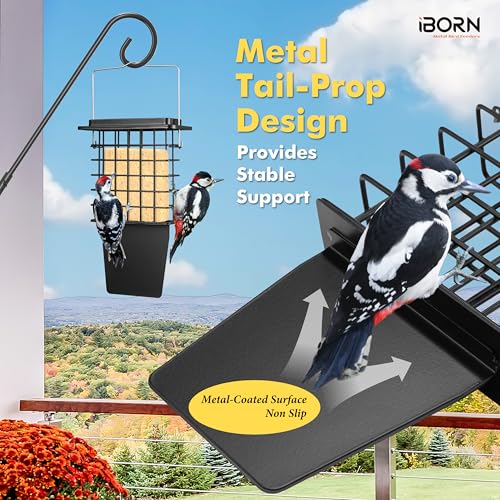 iBorn Metal Suet Feeder with Tail Prop | Durable Suet Cake Cage Bird Feeder for Outdoors，Woodpecker Feeder for Outside Hanging，Heavy-Duty Suet Holder,Easy Clean & Refill,1 Pack,Black - color: Black, size: Single Capacity
