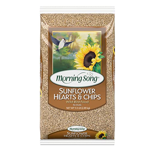 Morning Song Sunflower Hearts & Chips Wild Bird Food, No Mess Sunflower Seeds for Birds, 5.5-Pound Bag | No Mess Sunflower Seeds for Birds - size: 5.5 Pound (Pack of 1), style: 5.5 Pounds (Hearts & Chips)