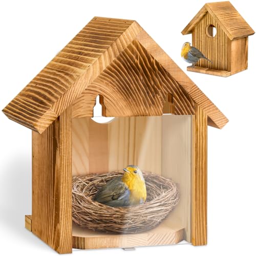 Window Bluebird House for Outside, Birdhouses with Weather Treated | 2 Hanging Hooks, Simple Installation, Easy to Clean, Outdoor Placement, Wild Bird Watching, for Garden, Patio, Fence