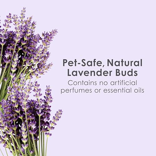 Kaytee Clean & Cozy Lavender Paper Bedding for Guinea Pigs, 49.2 Liters | Fresher habitats with rabbit bedding. Hamster bedding for small pets. 99% dust-free, absorbs 6x, lavender bedding - size: 49.2 Liters