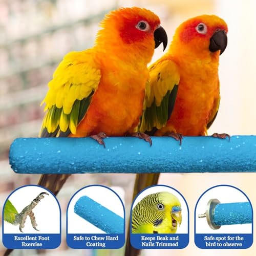 SunGrow Wooden Bird Perch, 8 inches, Quartz Sand Covered, Blue Perch for Lovebirds, Budgies, Finches & Small Birds