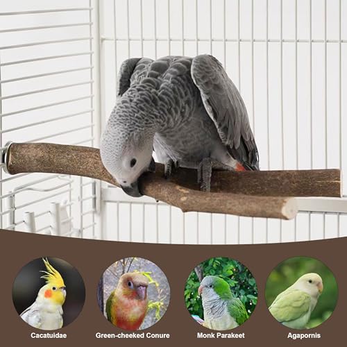 8 PCS Bird Perch Set | Natural Birch Wood, Straight & Forked Perches with Platforms, For Parakeets, Cockatiels, Conures, Lovebirds, Cage Accessories