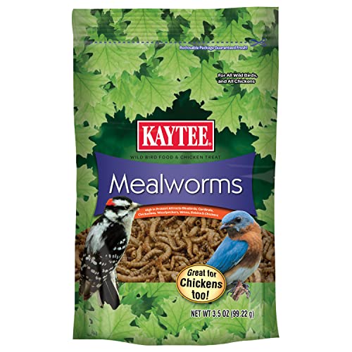 Kaytee Wild Bird Food Mealworms For Bluebirds, Wrens, Robins, Chickadees, Woodpeckers, Cardinals & Chickens, 3.5 Ounce - size: 3.5 Ounce (Pack of 1)